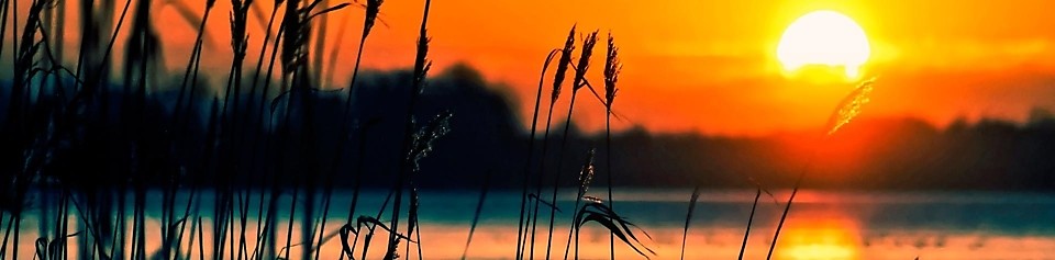 Рыболовный магазин "Поклевка-НН", Нижний Новгород Рыболовный магазин "Поклевка-НН", Нижний Новгород